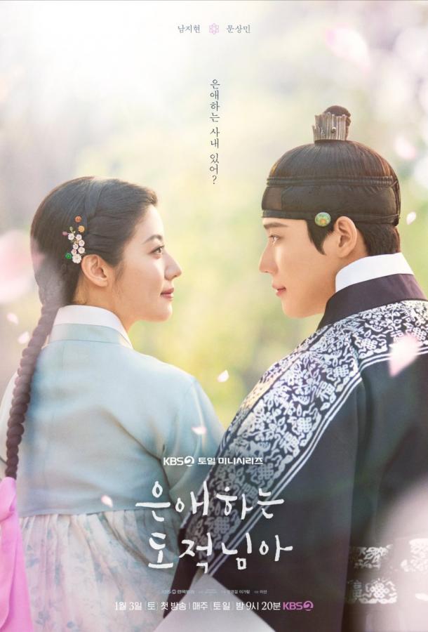 Моя любимая воровка