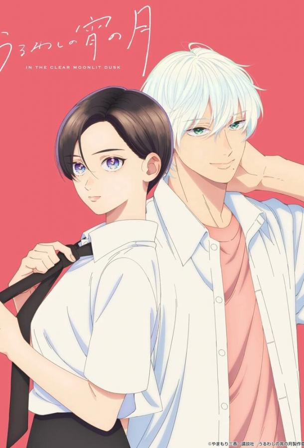 Прекрасная вечерняя луна