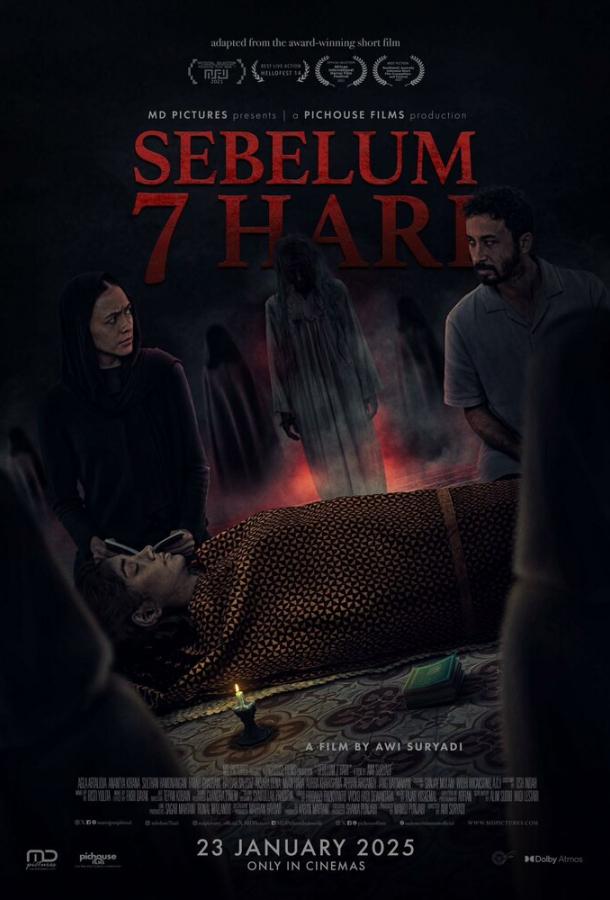 Последние 7 дней