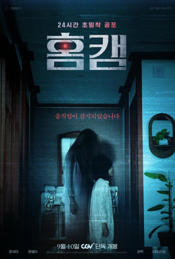 Домашняя камера