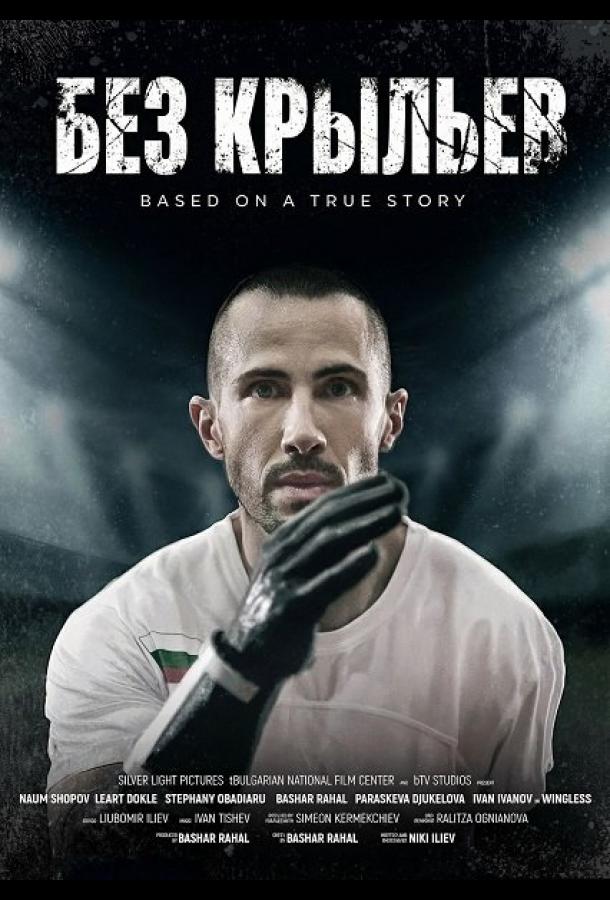 Без крыльев