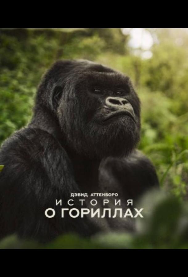 Дэвид Аттенборо. История о гориллах